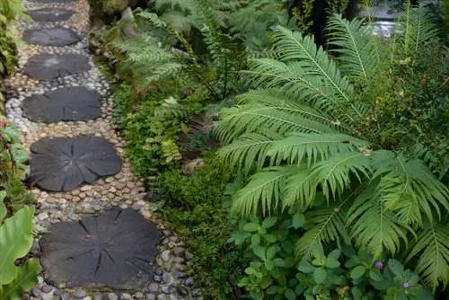 Creación de senderos para camas: cómo diseñar atractivos senderos para el jardín