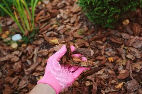 Mulching beds properly: advantages and tips for your garden