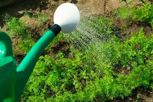 L'entretien des massifs en toute simplicité : conseils pour les jardiniers amateurs