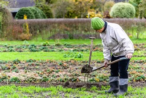 Flower bed in autumn: Important care tips & planting tips