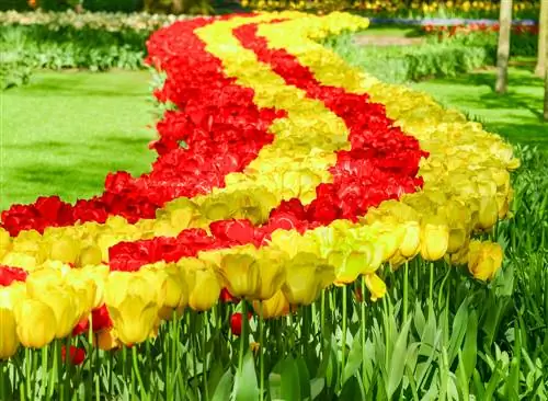 flowerbed shapes flowerbed shapes
