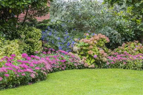 Créez un nouveau parterre de fleurs : comment concevoir le parterre de vos rêves