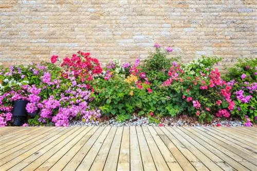 Flower bed in front of the terrace: design options & tips