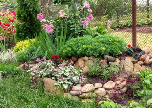 Border beds with stone: set the perfect border