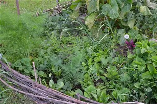 Make your own willow bed border: simple instructions