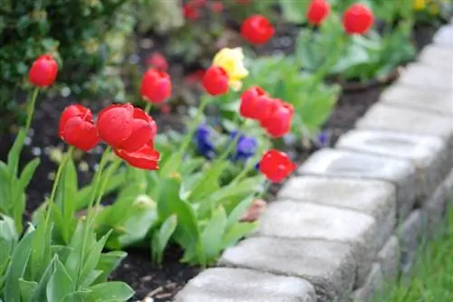 Paving the bed border: step by step instructions