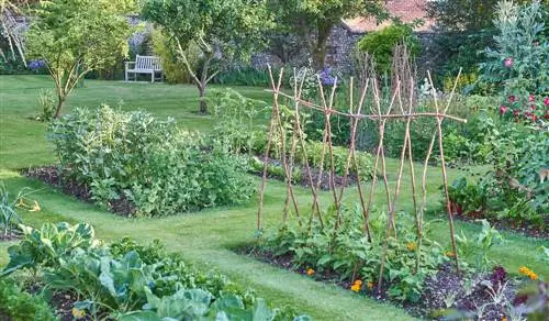 pianificazione dell'aiuola vegetale