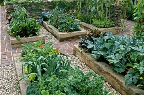 plan de plantation de potagers