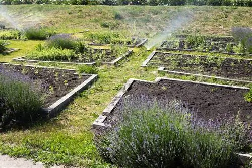 Irrigazione giardino fai da te: ecco come fare passo dopo passo