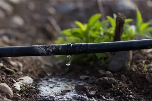 Water cleverly: use a rain barrel without a pump - here's how it works