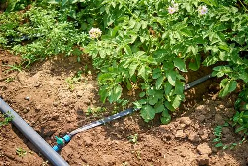 de tuin water geven op vakantie