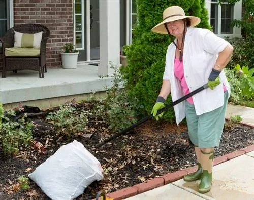 Thuja bemesten: wanneer, hoe en waarmee voor een gezonde groei?