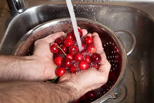 berry washing