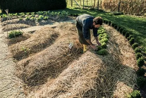 Stvaranje brežuljkastog kreveta: jednostavne upute korak po korak