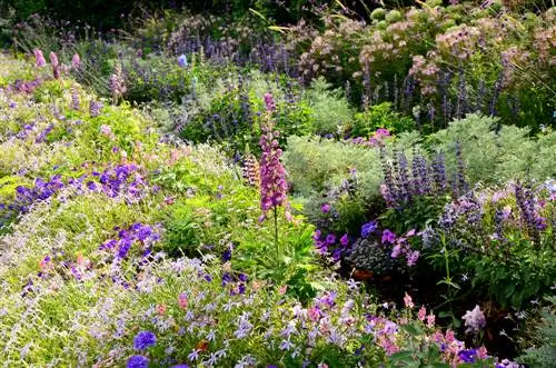 vaste planten op heuvelbedden