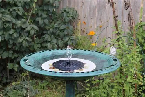 Fonte sem bomba: isso é possível no seu próprio jardim?