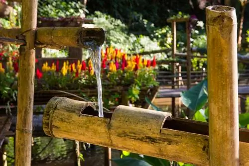 Construye tu propia fuente de agua de bambú: esto es lo que necesitas