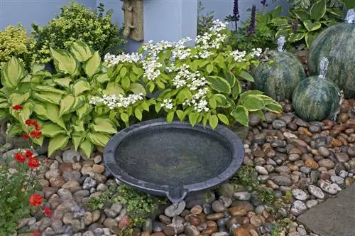 diseño de jardín con fuente de agua