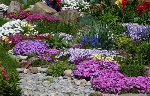 ¿Cómo creo un macizo de flores con piedras de fácil cuidado?