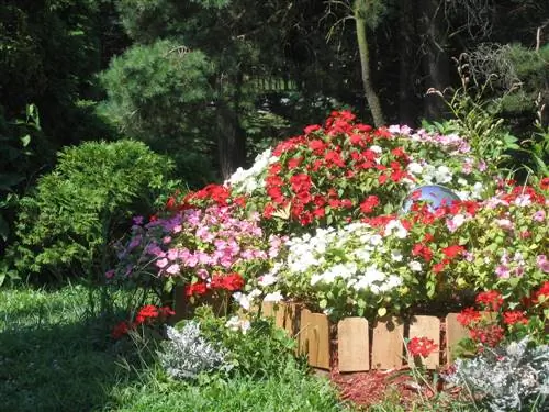 diseño de macizo de flores