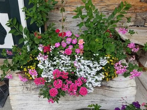 flowerbed balcony