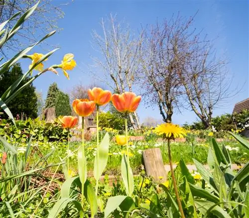 parterre de fleurs à flanc de colline