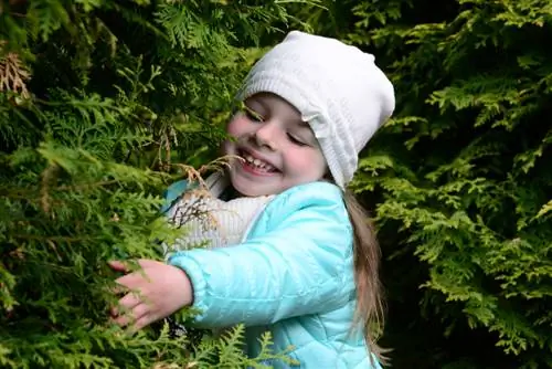 thuja smaragd jedovatý