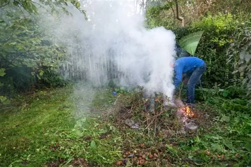 Thuja branden: is het toegestaan en veilig?