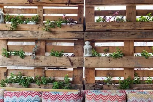 Gumawa ng sarili mong herb bed: Mga tagubilin para sa mga pallet bed