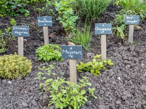 site herb bed