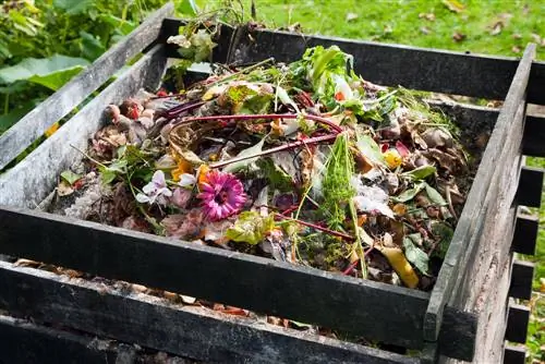 Een composter bouwen: wat kan erin en hoe wordt dat gedaan?