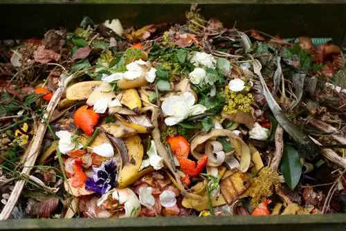 banana peel compost