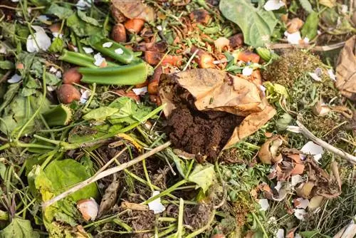 Coffee grounds sa compost: bakit napakahalaga ng mga ito?