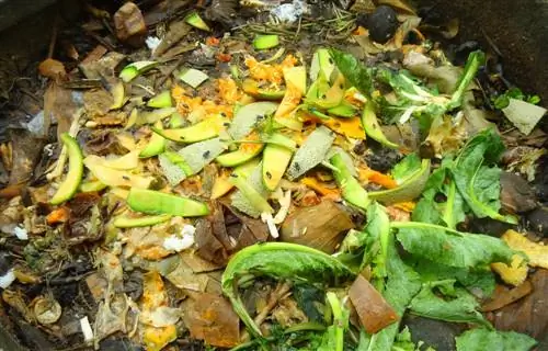 Combattere le mosche nel compost