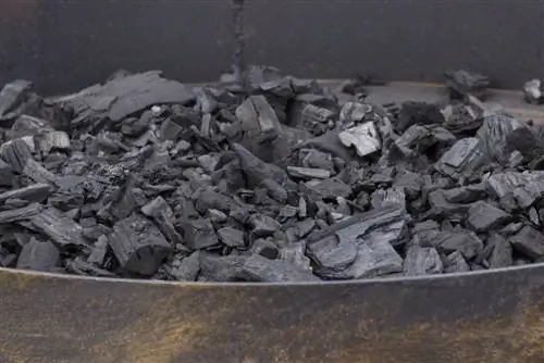 charcoal compost