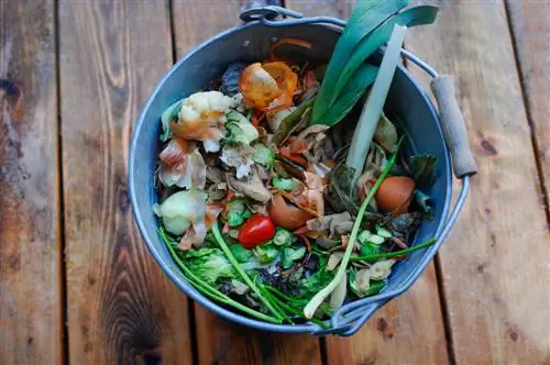 compost-in-a-bucket