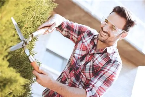 חיתוך משוכות בקיץ: מתי הזמן הטוב ביותר?