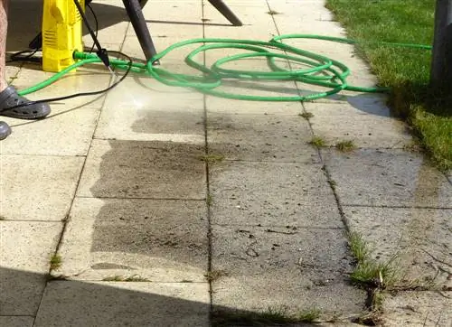 Sin musgo: limpia y cuida adecuadamente las baldosas del patio