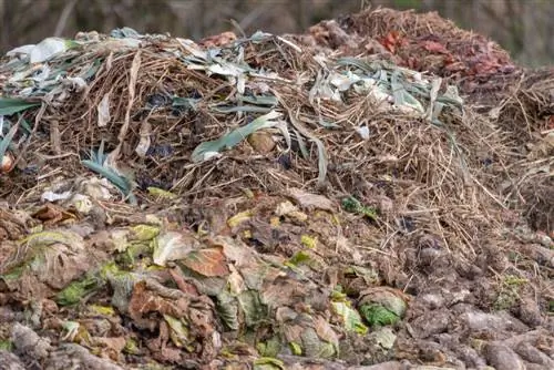 Durata del compost: quanto dura il processo di maturazione?