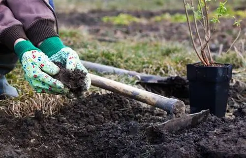 Teisingai naudokite kompostą