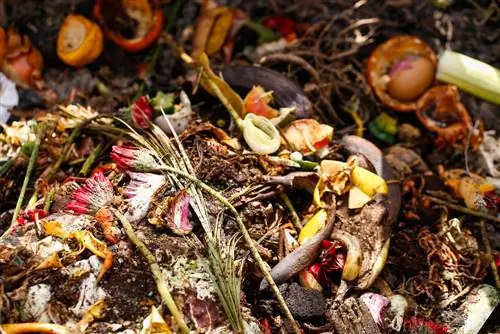 Compost puant : comment résoudre efficacement le problème