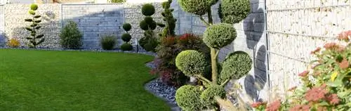 boxwood garden