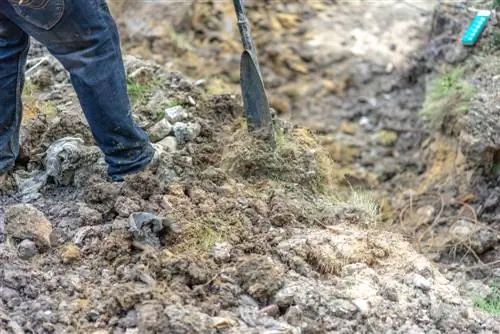 dezgropând o grădină plină de vegetație