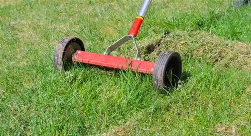 Gazonrenovatie: Effectieve reparatie zonder graven