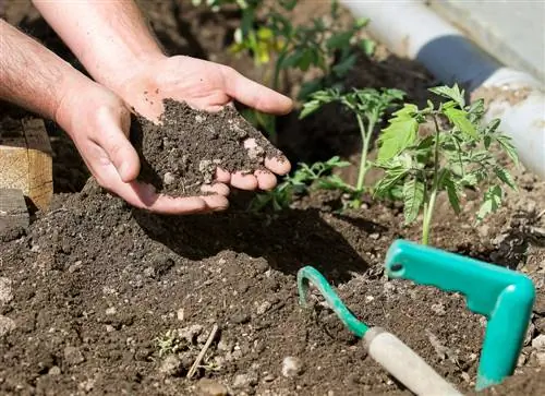 terreau de potager