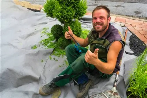 Buxus zagen: basis voor schoon werken