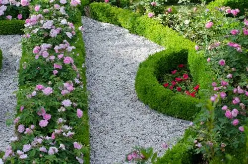 Buxus: Wat hoort erbij? Chique plantencombinaties