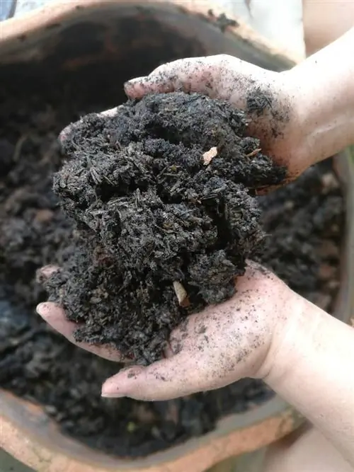 Kailan handa ang compost? Mga palatandaan ng oras ng pagkahinog