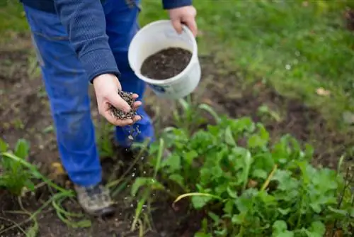 cuanto-compost-por-metro-cuadrado