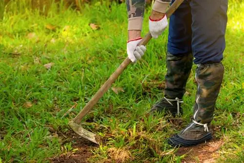 Eski çimleri yenilemek: kaldırmak mı yoksa kazmak mı?